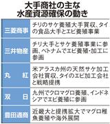 大手商社の主な水産資源確保の動き
