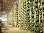 東洋紡の膜が用いられた海水淡水化プラント＝サウジアラビアの都市ラービク