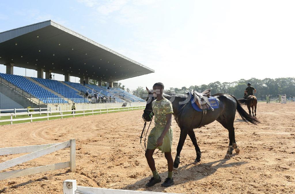 デオドロ地区の馬術会場＝２０１４年７月、ブラジル・リオデジャネイロ（共同）