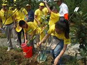 従業員の家族らも参加して行われた中国での植林活動＝３日、中国・江蘇省蘇州市