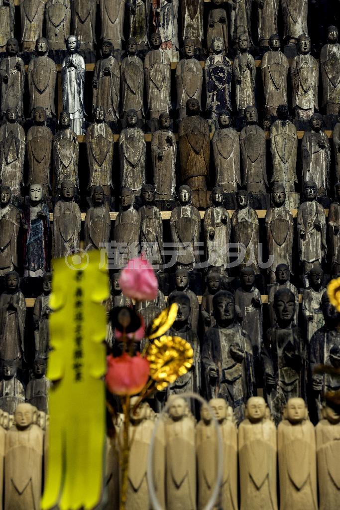 千躰堂には黒地蔵尊の分身とされる小さなお地蔵様が並ぶ＝２０１４年８月１０日、神奈川県鎌倉市二階堂の覚園寺（渡辺照明撮影）