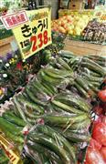 台風と長雨の影響で価格が高騰しているキュウリ＝２０１４年８月１９日午後、東京都練馬区（共同）