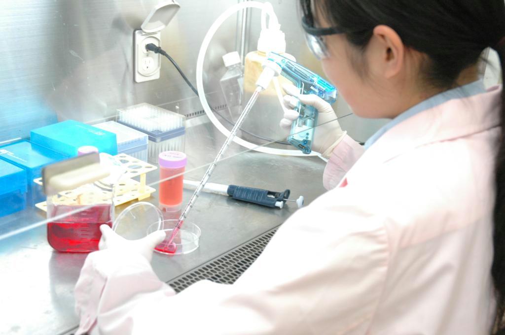 細胞の培養に取り組む大日本住友製薬の研究員。再生医療をめぐる開発競争が本格化している＝大阪市此花区