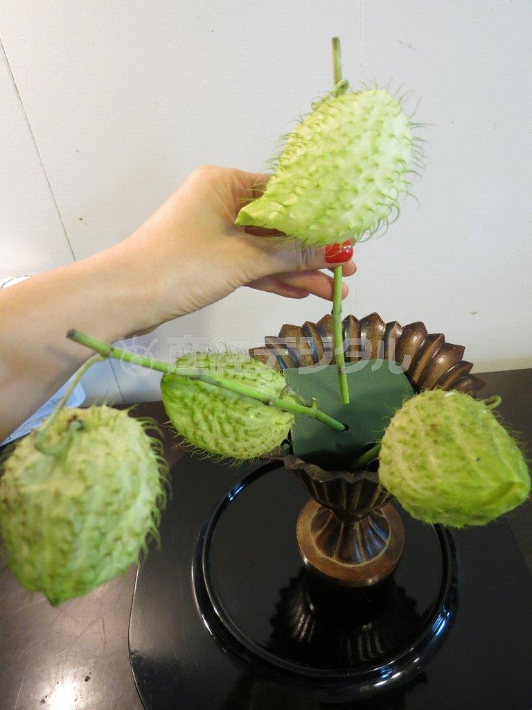 （手順１）オアシスをセットした花器にフウセントウワタを挿し、アレンジの骨格を作る。その際、左右や高さを充分に出す（花千代さん提供）