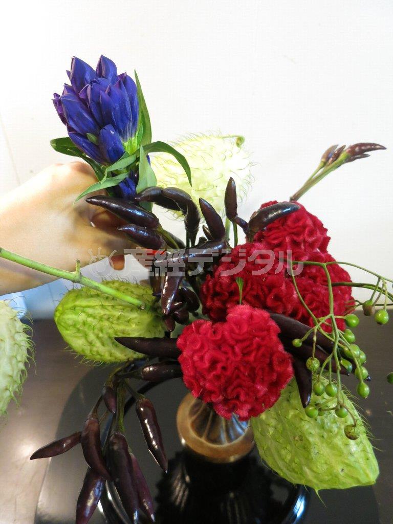 （手順３）メインの花であるケイトウを５輪固まりにして中央に挿し、その後ろにリンドウをバランスよく挿す（花千代さん提供）