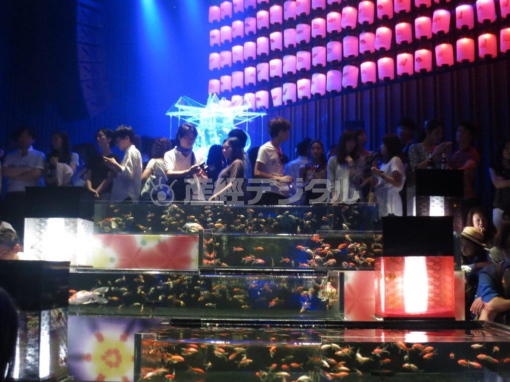 展覧会「アートアクアリウム２０１４」の模様＝２０１年、東京都中央区・日本橋三井ホール（花千代さん撮影）