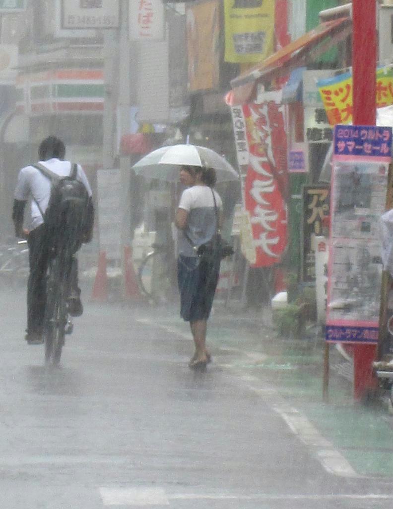 先月末、関東地方を襲った大雨。局地的に猛烈な勢いで雨が降った＝７月２７日、東京都世田谷区（小野淳一撮影）