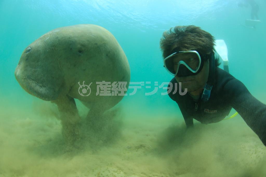 素潜りして、ジュゴンとのツーショットを自分撮りしてみた＝２０１２年１０月２５日、フランス領ニューカレドニア島（越智隆治さん撮影）