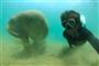 素潜りして、ジュゴンとのツーショットを自分撮りしてみた＝２０１２年１０月２５日、フランス領ニューカレドニア島（越智隆治さん撮影）