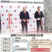 損保ジャパン日本興亜の沿革