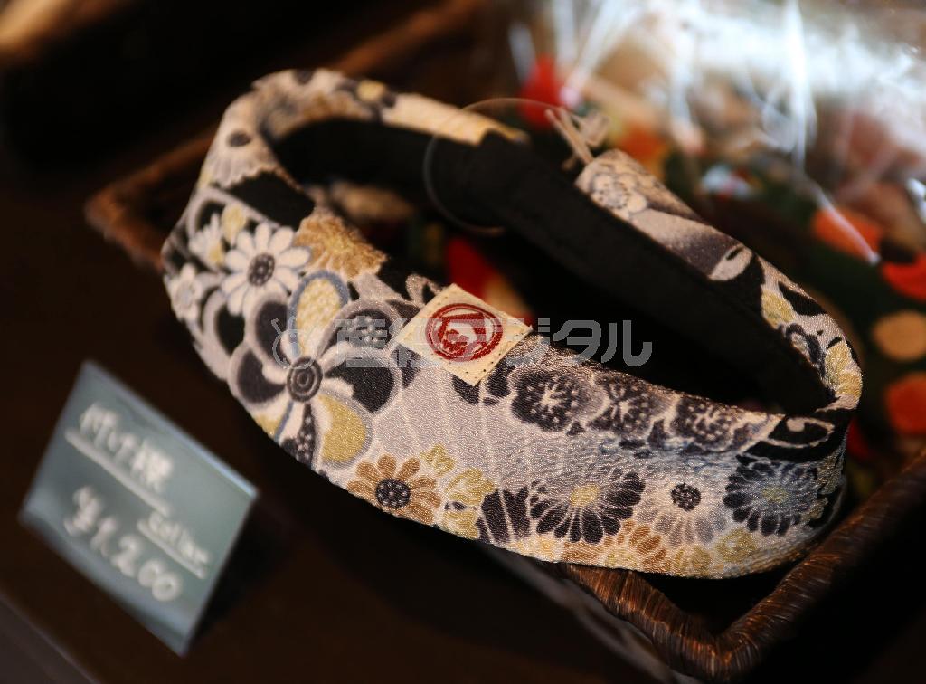 ワンちゃん用の付け襟「カラー・バンダナ」。愛犬の首元をおしゃれに演出する＝２０１４年８月１２日、京都市中京区（恵守乾撮影）