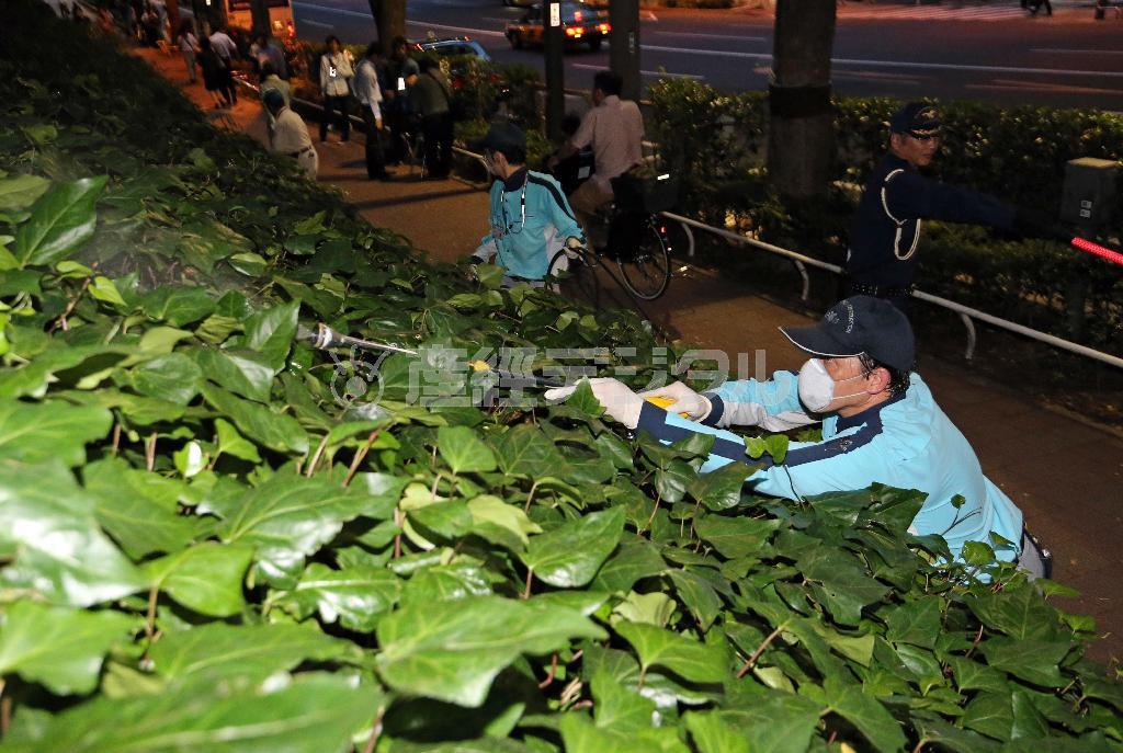 新宿中央公園で殺虫剤を散布する作業員＝２０１４年９月５日、東京都新宿区（宮崎裕士撮影）