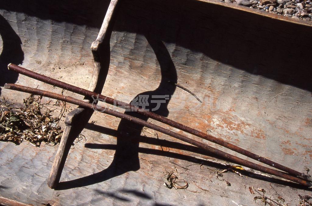 ヤナギの枝で作った棹＝ロシア・クラスヌイ・ヤール村（伊藤健次さん撮影）