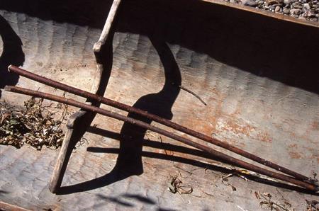 ヤナギの枝で作った棹＝ロシア・クラスヌイ・ヤール村（伊藤健次さん撮影）