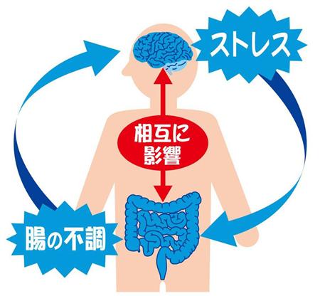 乳酸菌のストレス緩和効果を実証 カルピスと徳島大の共同研究で Sankeibiz サンケイビズ