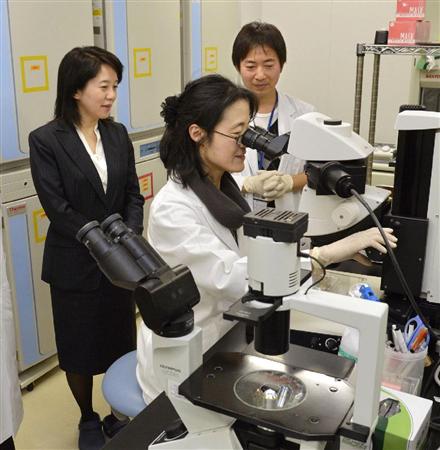 ２０１３年２月、幹細胞培養室での実験を視察する理化学研究所発生・再生科学総合研究センターの高橋政代プロジェクトリーダー（左）＝神戸市中央区