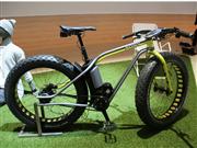 参考出展されていた電動アシスト自転車「ＸｐｅｒｉａＢｉｋｅ」