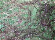 ウナギの稚魚であるシラスウナギ＝２０１４年２月２６日、神奈川県（宮崎裕士撮影）