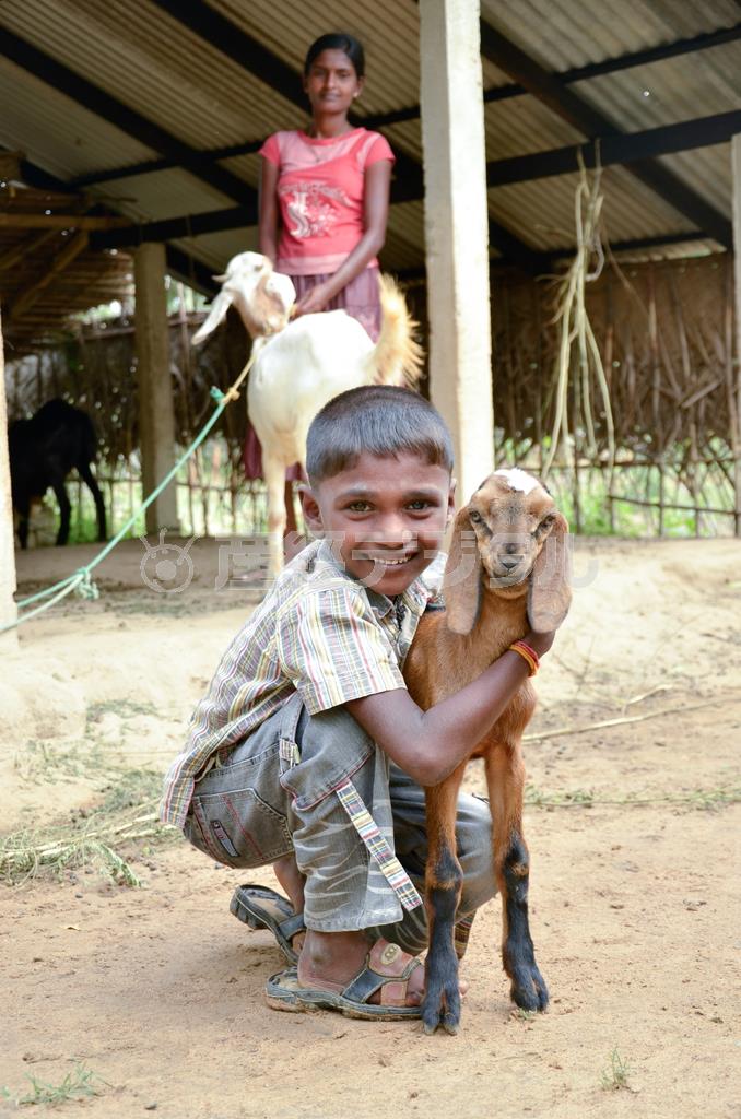 支援されたヤギを抱いて嬉しそうな男の子＝２０１２年１２月１６日、スリランカ・キリノッチ（ワールド・ビジョン・ジャパン撮影）