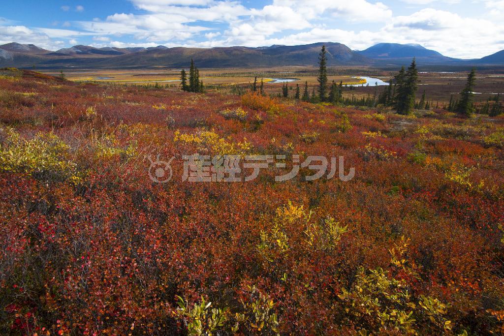 これほどの絶景であるにもかかわらず、あまりにも辺境にあるがゆえ、人目に触れることはほとんどない＝２０１４年８月３１日、米アラスカ州（松本紀生さん撮影）