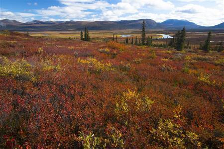 これほどの絶景であるにもかかわらず、あまりにも辺境にあるがゆえ、人目に触れることはほとんどない＝２０１４年８月３１日、米アラスカ州（松本紀生さん撮影）