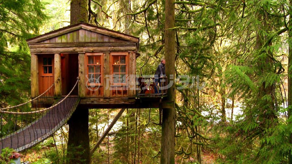 ツリーハウス。（Ｃ）２０１４＿Ｄｉｓｃｏｖｅｒｙ＿Ｃｏｍｍｕｎｉｃａｔｉｏｎｓ，ＬＬＣ