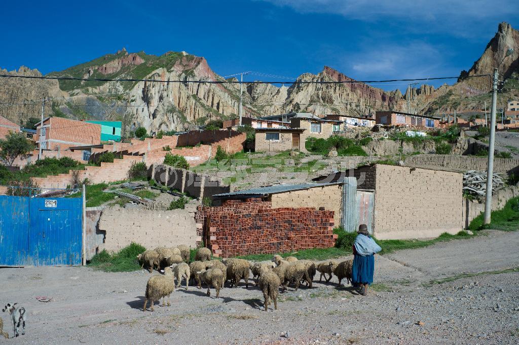 ラパスの中心地からバスで１時間ほど行った場所。家畜を放牧中の女性は、少し移動しては腰をかけ、またちょっと動いては休み、目の前のすり鉢状に広がる街並みを眺めていた＝ボリビア・ラパス郊外（緑川真実さん撮影）