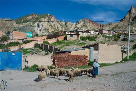 ラパスの中心地からバスで１時間ほど行った場所。家畜を放牧中の女性は、少し移動しては腰をかけ、またちょっと動いては休み、目の前のすり鉢状に広がる街並みを眺めていた＝ボリビア・ラパス郊外（緑川真実さん撮影）