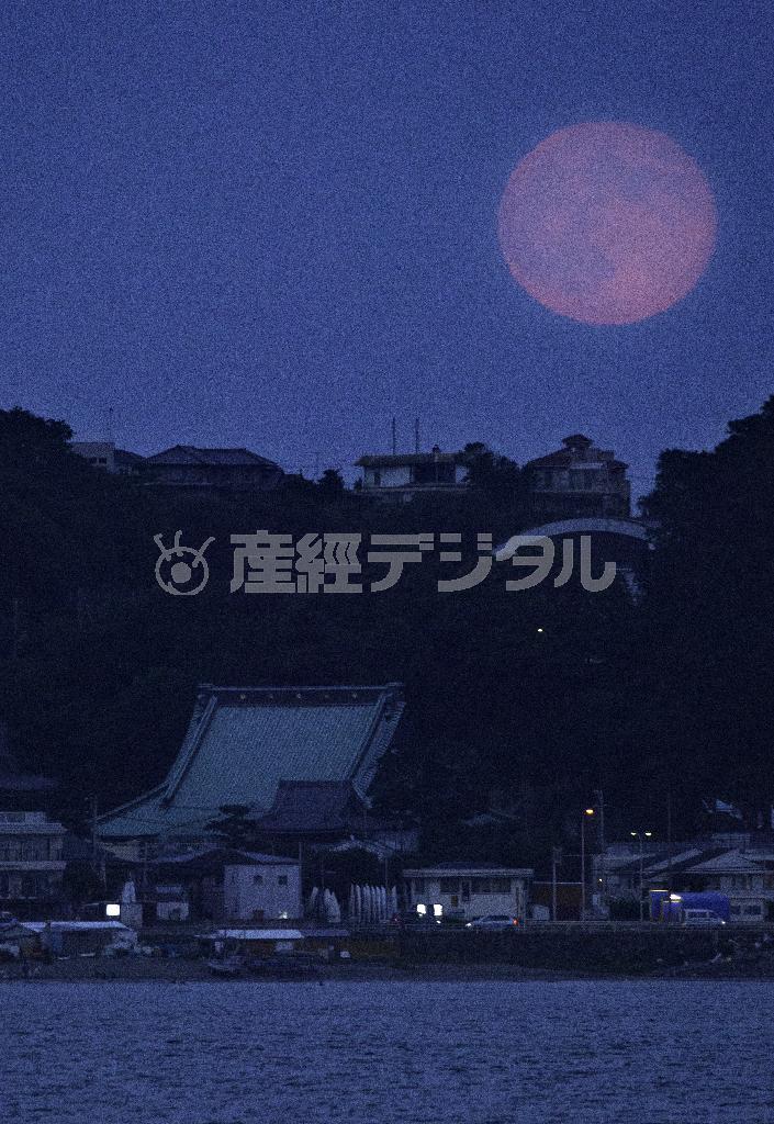 海と寺院を赤く照らす。曇り空のスーパームンは一段と幻想的だ＝２０１４年９月９日午後６時すぎ、神奈川県鎌倉市坂ノ下から（渡辺照明撮影）
