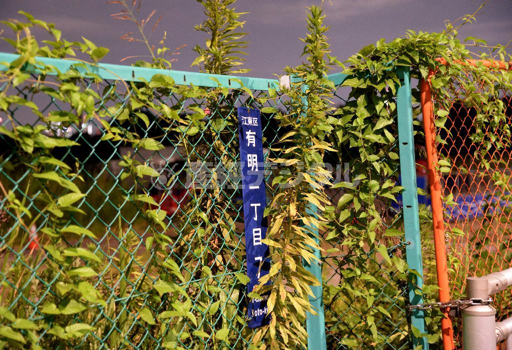 湾岸エリアに五輪の競技会場が集結するのだが＝２０１４年８月８日、東京都江東区有明（奈須稔撮影）