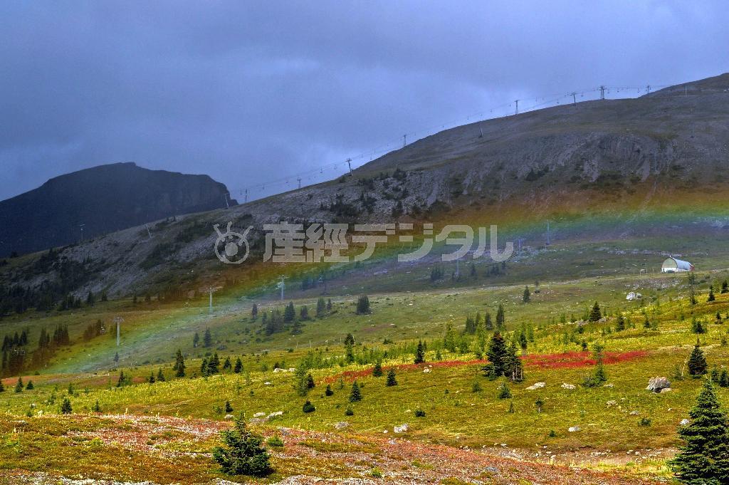 黄や赤の野草を覆うようにかかった虹。バンフ近くのハイキング・コースを散策中のひとこま＝２０１４年８月３１日、カナダ・ブリティッシュコロンビア州（唐木英明さん撮影）