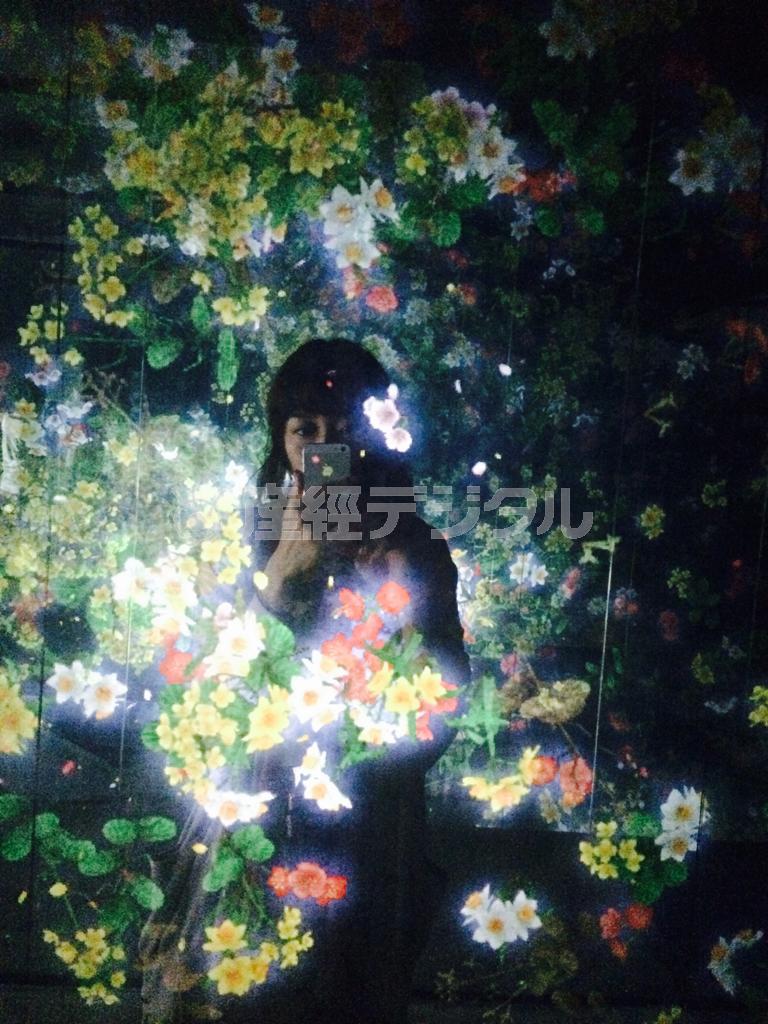 鏡に挟まれた通路では作品に混ざり込むことで自然との一体感を味わえる（チームラボ提供）