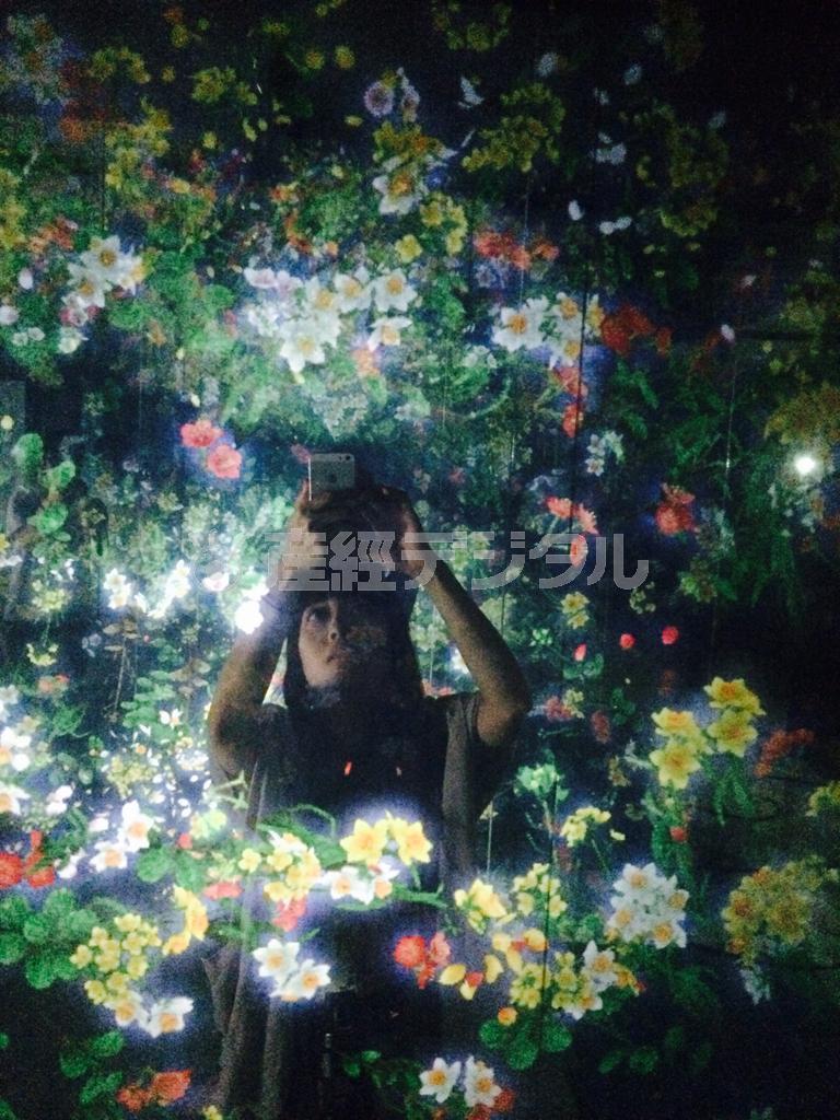 鏡に挟まれた通路では作品に混ざり込むことで自然との一体感を味わえる（チームラボ提供）