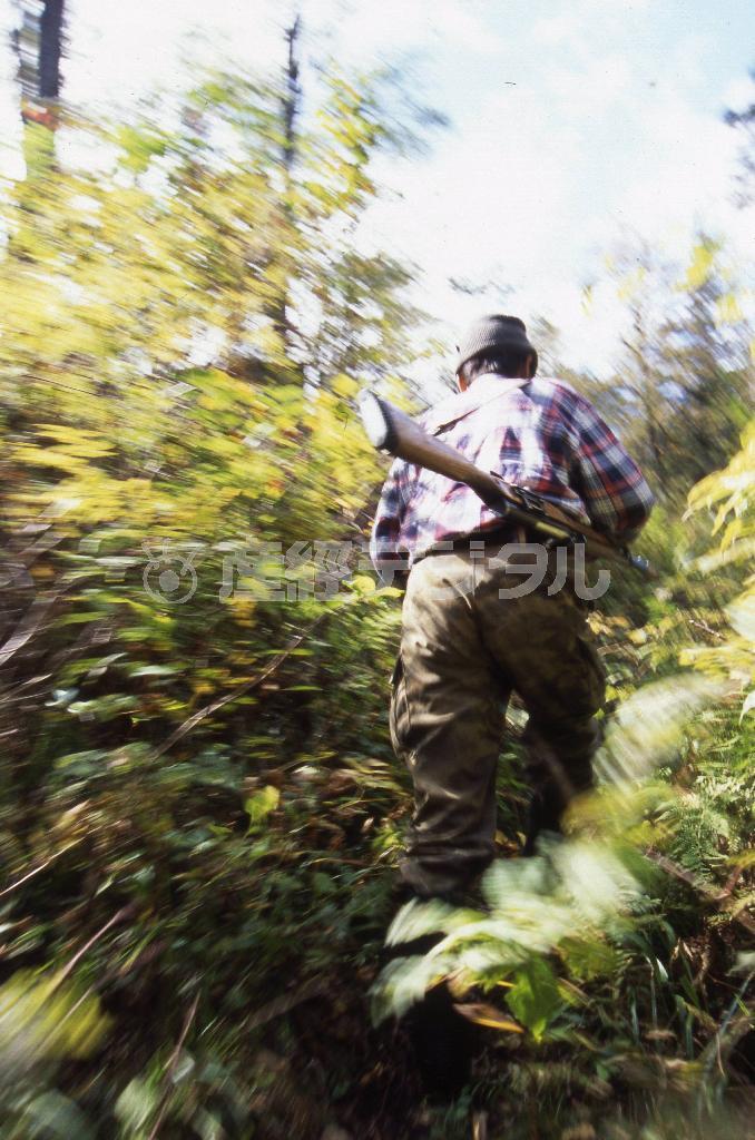 ウスリータイガを風のように歩くウデヘの猟師、ヤコフ・カンチュガ＝ロシア・クラスヌィ・ヤール村（伊藤健次さん撮影）