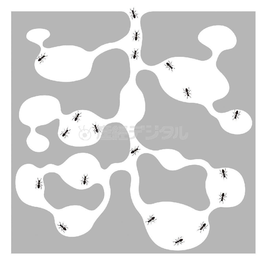 ＳＡＫＡＮＡＭＯＮ「ＡＲＩＫＡＮＡＳＨＩＫＡ」。発売中（提供写真）