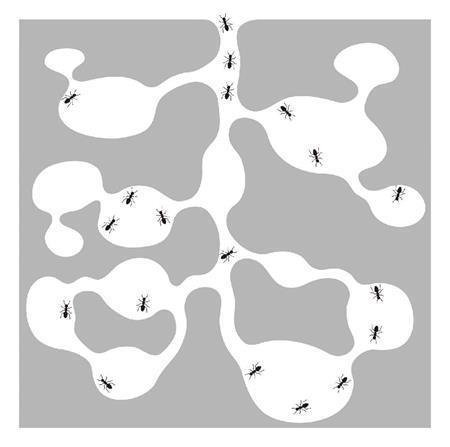 ＳＡＫＡＮＡＭＯＮ「ＡＲＩＫＡＮＡＳＨＩＫＡ」。発売中（提供写真）