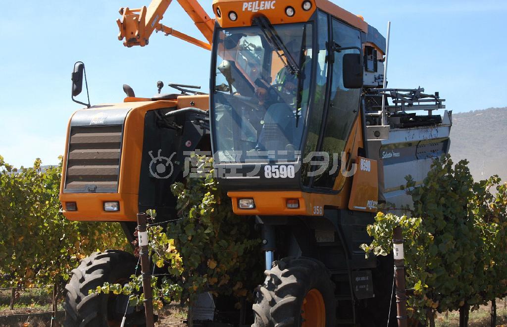 ハーン・エステートで作業中のグレープ・ハーベスター（ブドウ自動収穫機）＝２０１４年９月９日（青木冨美子さん撮影）