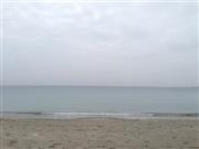 この海の向こうに、私の記憶の中ではなく、現実の湯河原があるのだ＝２０１４年１０月２日（長塚圭史さん撮影）