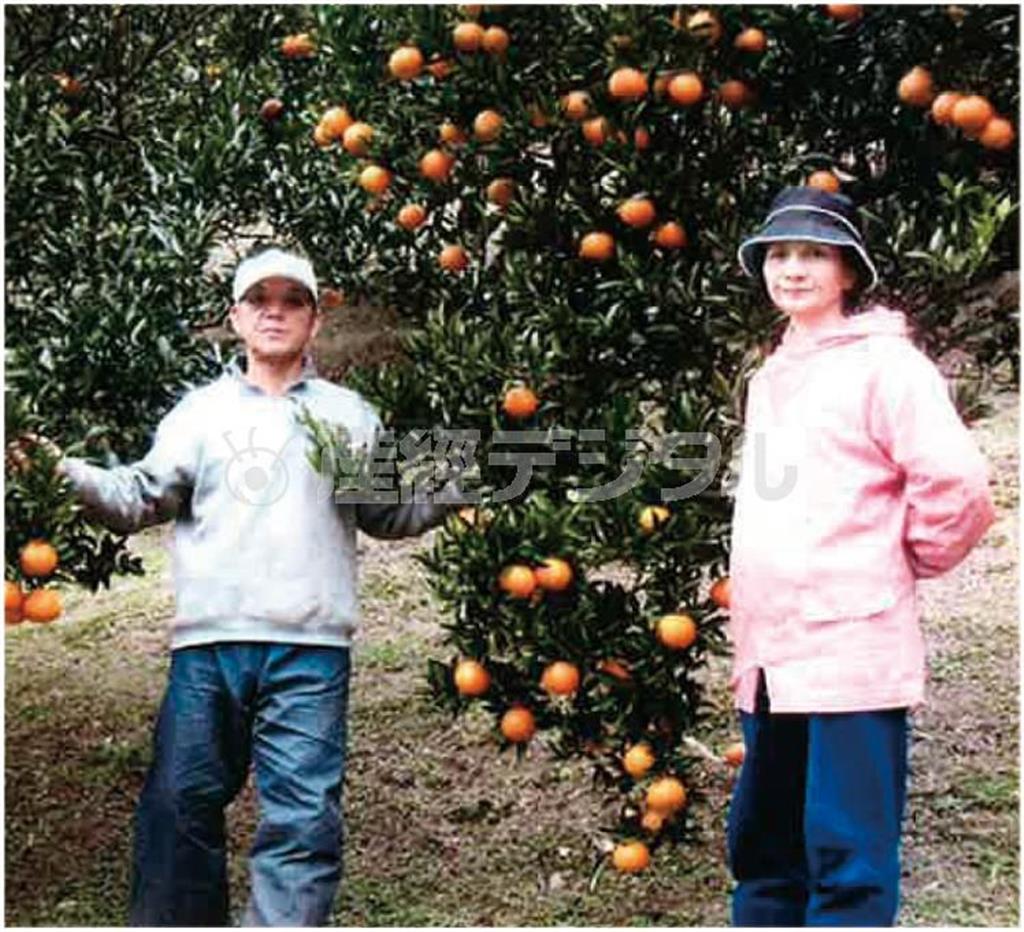 鹿児島県の屋久島でタンカン作りに取り組む、田中農園の田中秀志（ひでし）さん（左）＝鹿児島県熊毛郡屋久島町の吉田集落、田中農園（提供写真）