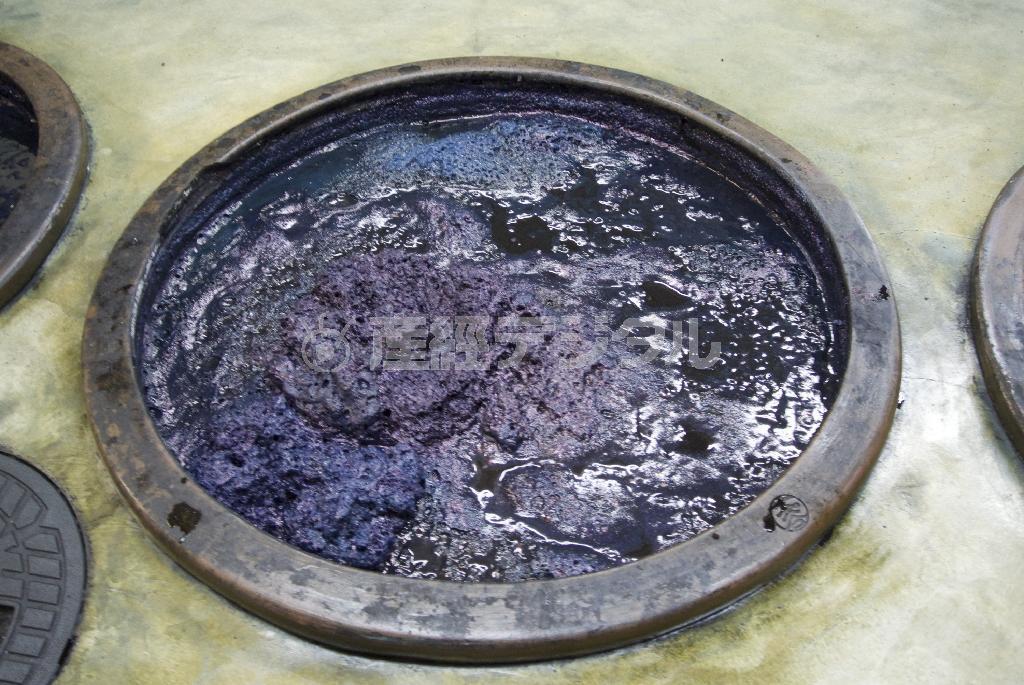 藍の熟成度合いが良く分かる「華」。良い藍色に染まるには、藍が生き生きと活動できる状態を保つ必要がある＝２０１４年９月６日、徳島県板野郡藍住町（提供写真）