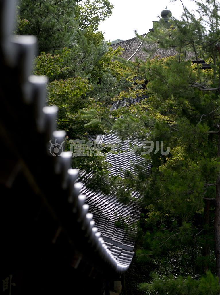 臥龍池をまたぎ、開山堂と霊屋を結ぶ臥龍廊。曲線が際立つ目のさめるような形＝２０１３年７月６日、京都市東山区（井浦新さん撮影）