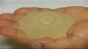 パナソニックが開発した撥水砂。水をかけても染み込まないのが分かる