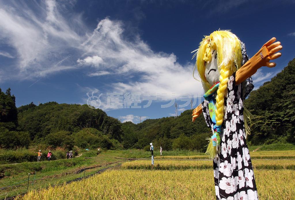 金髪のかかし＝２０１４年９月２１日、東京都あきる野市（野村成次撮影）
