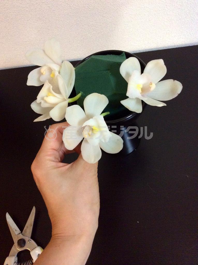 （手順１）オアシスをセットした花器に茎から切り分けたシンビジウムの花を縁部分を囲うように１０～１２輪くらい挿す＝２０１４年１０月２０日（花千代さん提供）
