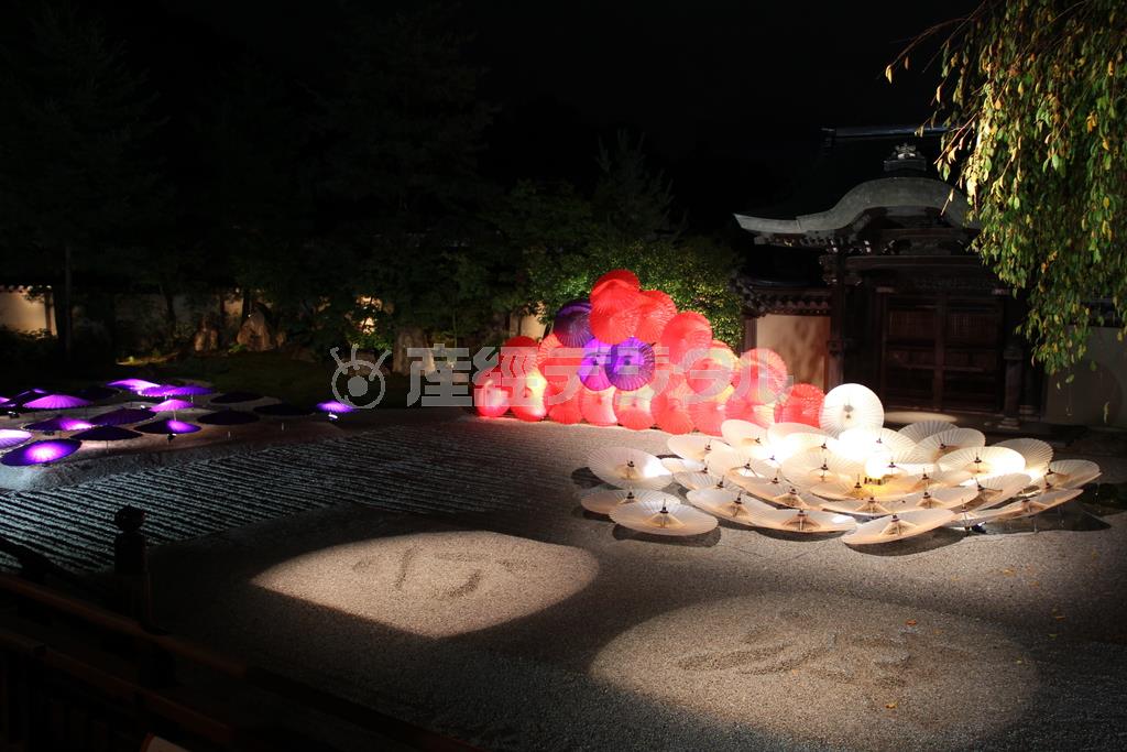 白、赤、紫の番傘を用いて「○△□」が描かれた方丈庭園「波心庭」のライトアップ。「○△□」は、心は○にも△にも□にも自由自在になれるという禅の思想だ。雨が降っているとき、雨が上がった後、庭はまったく別の表情を見せるという＝２０１４年１０月２０日、京都市東山区の高台寺（田中幸美撮影）