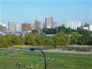 秋の終わりの豊平川とその河川敷。手前の街灯が邪魔…＝２０１４年１０月１９日、北海道札幌市（乾ルカさん撮影）