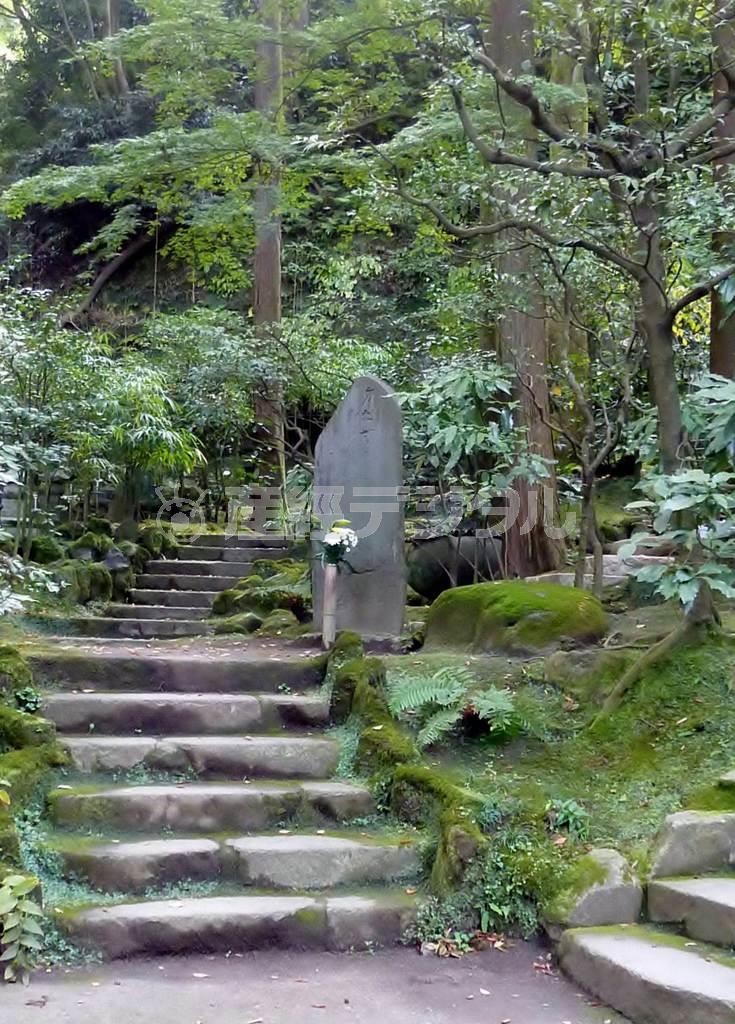 「東慶寺」境内にある石碑＝２０１４年１１月３日、神奈川県鎌倉市