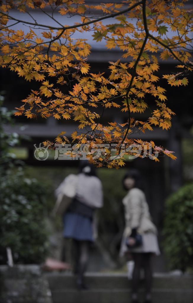 山門前の紅葉＝２０１４年１１月９日、神奈川県鎌倉市扇ガ谷の海蔵寺（渡辺照明撮影）