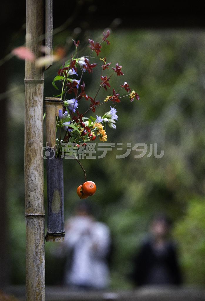 石段を登ると秋の花や木の実の挿し木が出迎えてくれた＝２０１４年１１月２日、神奈川県鎌倉市山ノ内の明月院（渡辺照明撮影）