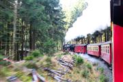 最高時速は３０キロ。まるでグリム童話の挿し絵にような、霧に包まれたモミの森のなかの勾配を登る